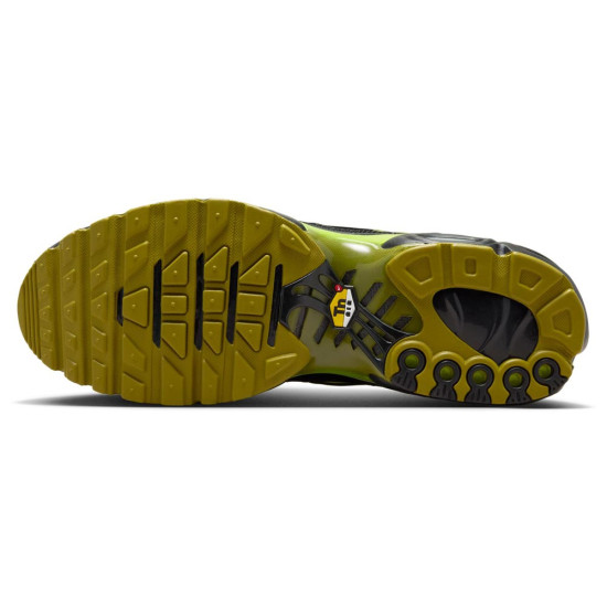 Nike Air Max Plus